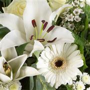 Florist Choice Hand-Tied in Water
