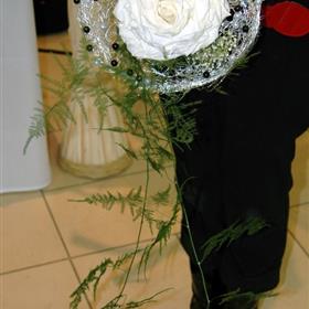 fwthumb300998_265835066769366_3030903_n.jpg