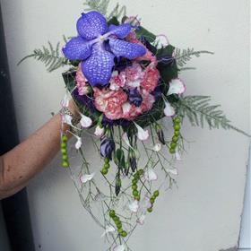 fwthumb391500_481321281887409_1935560041_n.jpg