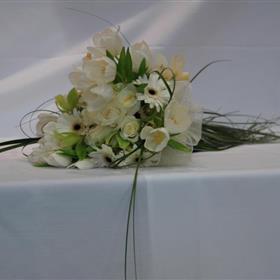 fwthumb562820_420435331309338_1543169233_n.jpg