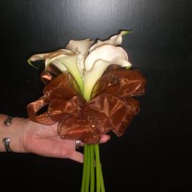 fwthumb6.jpg