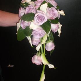 fwthumb9a.jpg